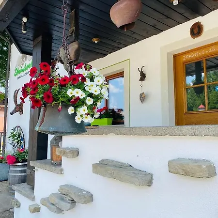 Steinbock Bed&Breakfast-3